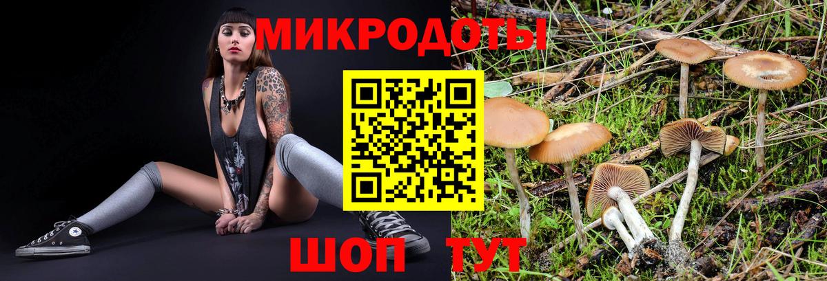 Псилоцибиновые грибы прущие грибы  Псилоцибиновые грибы мухоморы  где купить наркоту  Вход с VPN  Амурск 